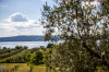 Parco Verde (Bolsena / Bolsenasee / Italien) 