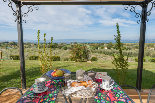 Parco Verde - Ligustro (Bolsena / Bolsenasee / Italien)